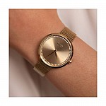 Изображение на часовник Hugo Boss Praise Ladies 1502547