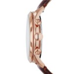 Изображение на Fossil FS4987 Townsman