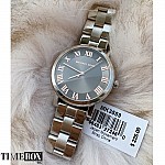 Michael Kors MK3559 Norie Silver